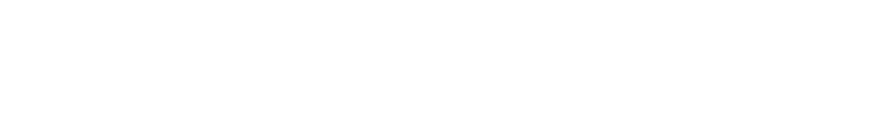 VoiVision AI