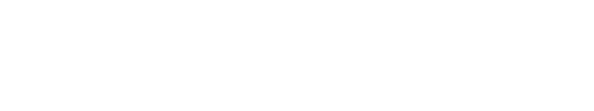 VoiVision AI